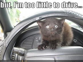 but, I'm too little to drive...