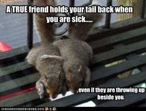 A TRUE friend holds your tail back when you are sick.....