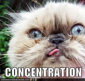 CONCENTRATION