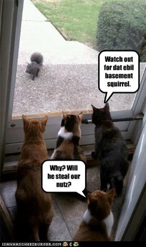 Watch out for dat ebil basement squirrel.