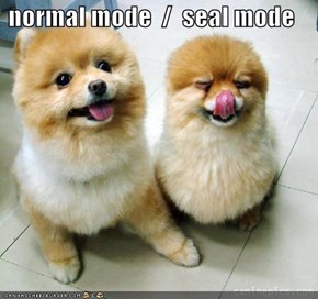 normal mode  /  seal mode