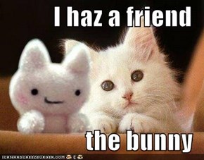 I haz a friend   the bunny