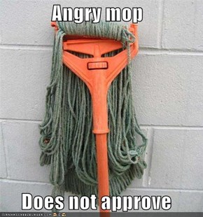 Angry mop   Does not approve