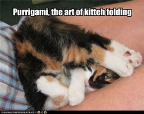 Purrigami, the art of kitteh folding
