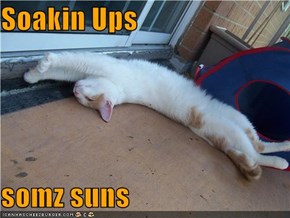 Soakin Ups  somz suns