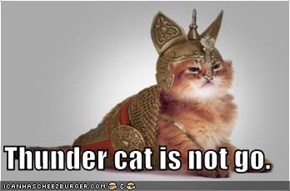 Thunder cat is not go.