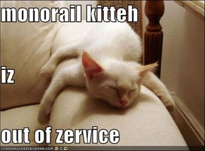 monorail kitteh iz out of zervice