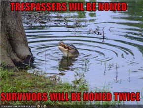TRESPASSERS WIL BE NOMED  SURVIVORS WILL BE NOMED TWICE