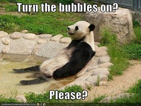 Turn the bubbles on?  Please?