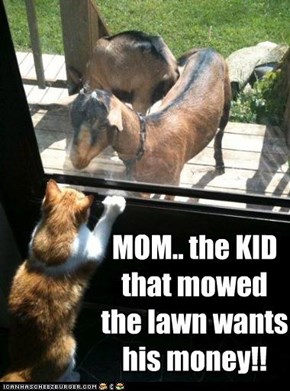 MOM.. the KID that mowed the lawn wants his money!!