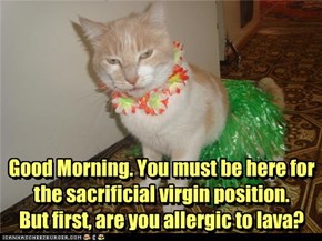 Good Morning. You must be here for the sacrificial virgin position.  But first, are you allergic to lava?