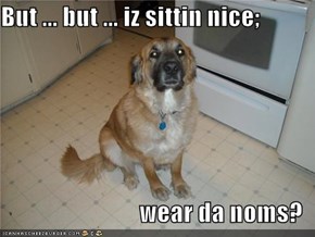 But ... but ... iz sittin nice;  wear da noms?