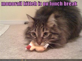 monorail kitteh iz on lunch break