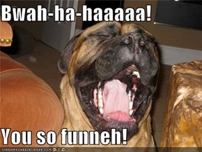 Bwah-ha-haaaaa!  You so funneh!