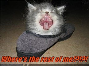 Where's the rest of me!?!?!