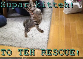 Supar kitteh!  TO TEH RESCUE!