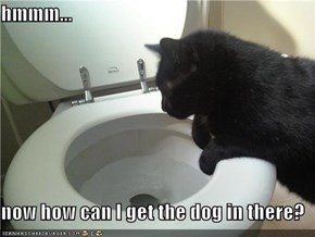 hmmm...  now how can I get the dog in there?