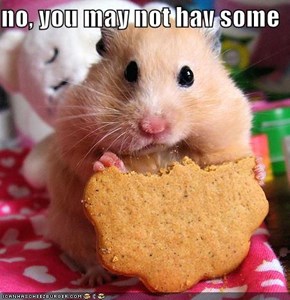 no, you may not hav some
