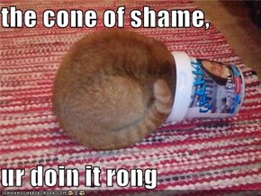 the cone of shame,  ur doin it rong