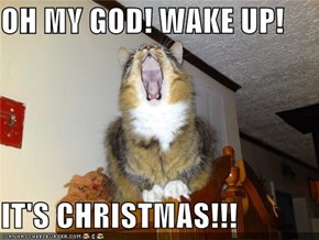 OH MY GOD! WAKE UP!  IT'S CHRISTMAS!!!