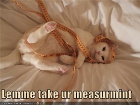 Lemme take ur measurmint