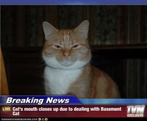 Breaking News - Cat's mouth closes up due to dealing with Basement Cat