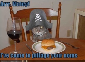 Arrr, Matey!  I've come to pillage your noms