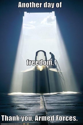 Freedom Isn't Free