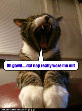Oh gawd.....dat nap really wore me out