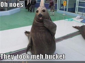 Oh noes  They  took meh bucket