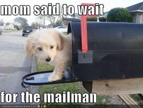 mom said to wait   for the mailman