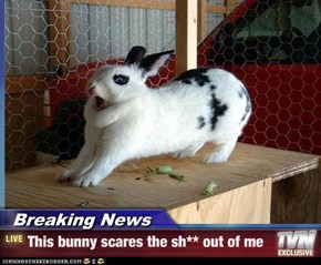Breaking News - This bunny scares the sh** out of me