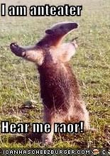 I am anteater  Hear me raor!