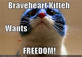 Braveheart Kitteh    Wants FREEDOM!