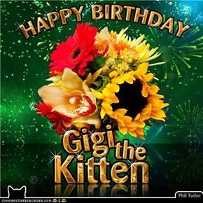 Happy Birthday GigitheKitten . . . . .
