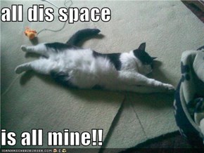 all dis space   is all mine!!