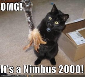 OMG!   It's a Nimbus 2000!