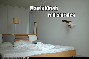 Matrix Kitteh                                      redecorates