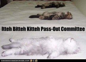 Itteh Bitteh Kitteh Pass-Out Committee