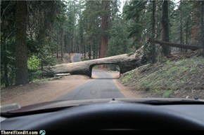 Chuck Norris Drove Here