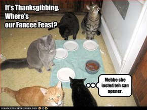 Mebbe she losted teh can opener.