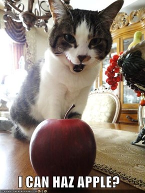 I CAN HAZ APPLE?