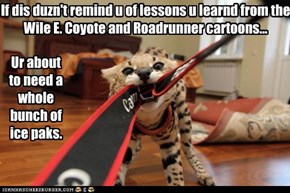 If dis duzn't remind u of lessons u learnd from the Wile E. Coyote and Roadrunner cartoons...