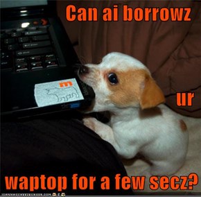 Can ai borrowz  ur   waptop for a few secz?