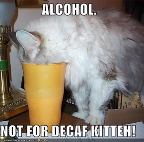 ALCOHOL.  NOT FOR DECAF KITTEH!