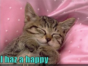 I haz a happy