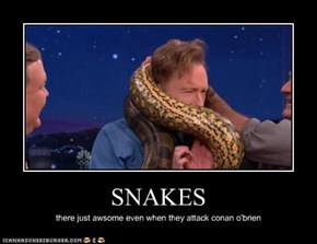 SNAKES