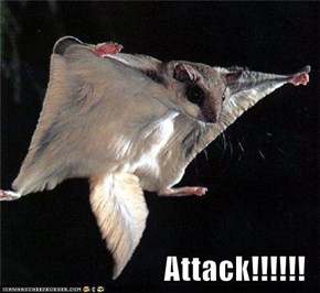 Attack!!!!!!