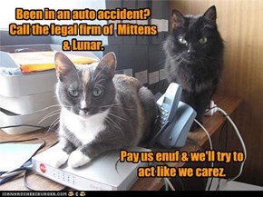 Been in an auto accident?  Call the legal firm of  Mittens & Lunar.