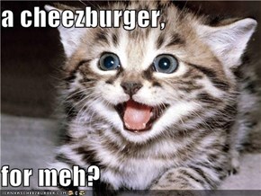 a cheezburger,  for meh?